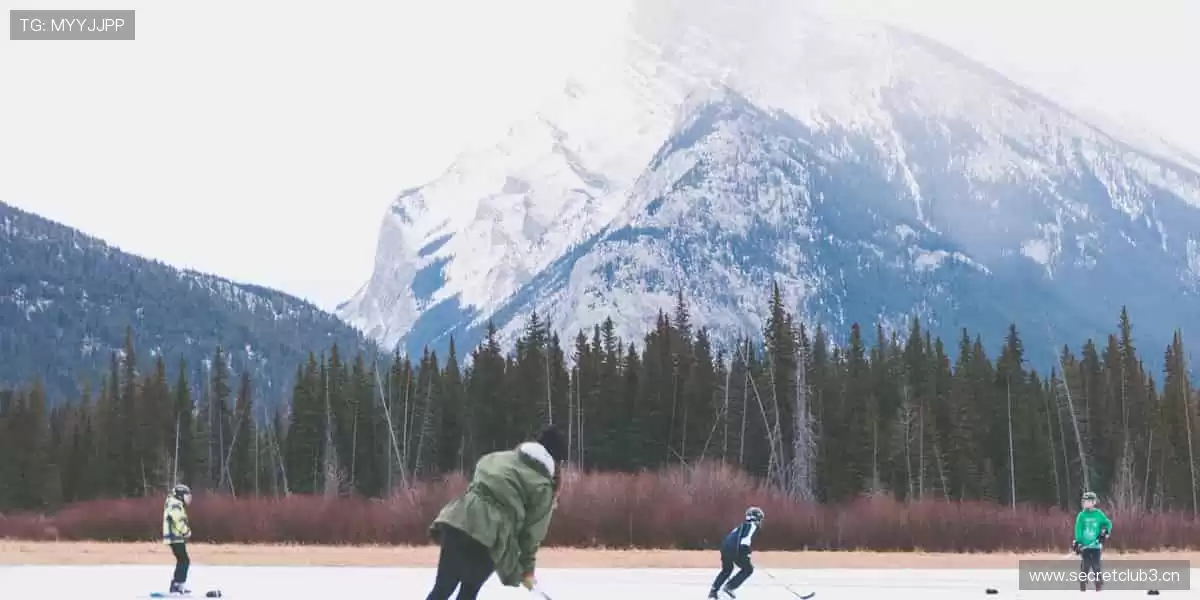 数据与激情同频，专业共欢乐一色！📊🎉 用科技解锁体育新视角！